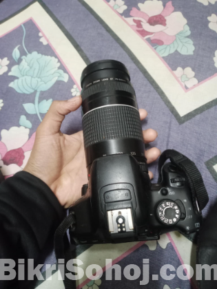 Canon 700d body with zoom lens